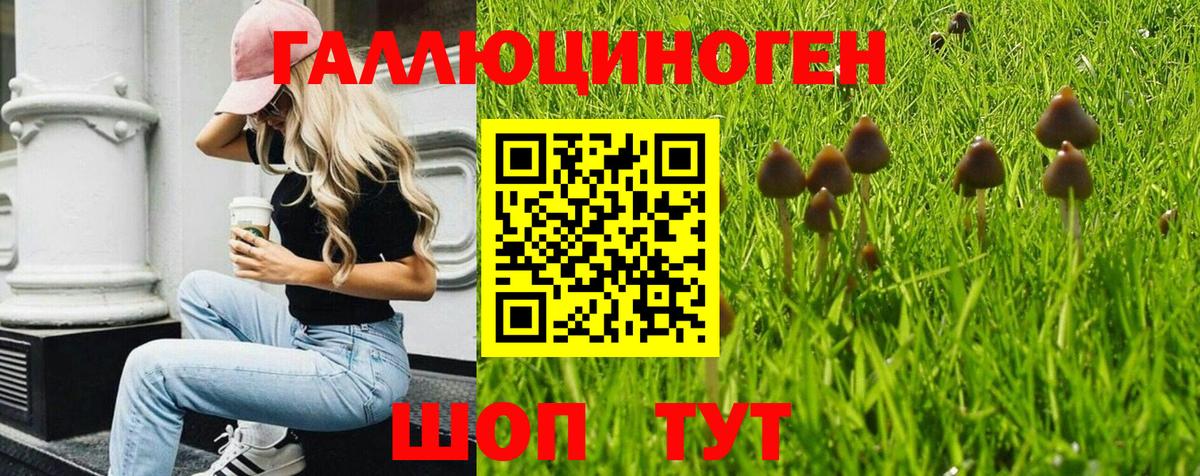 Псилоцибиновые грибы Psilocybine cubensis  Вход с VPN  Нововоронеж 